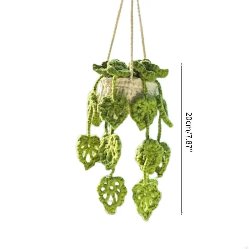 Hängepflanzen Deko klein